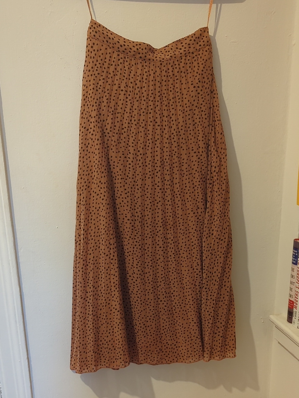 Japna Light Brown Maxi Skirt with Polka Dots